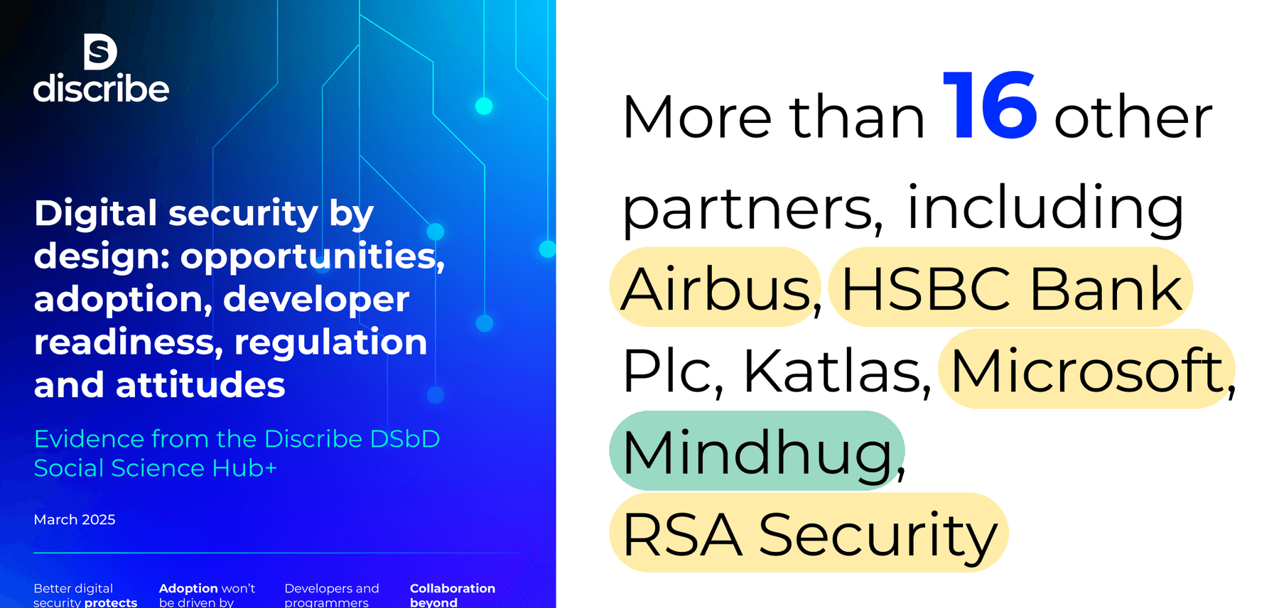 Discribe Hub+: Discribe Hub 2025 summary report